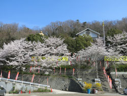 玉皇山弥勒寺